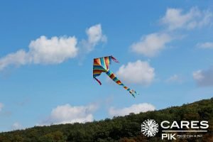 kite